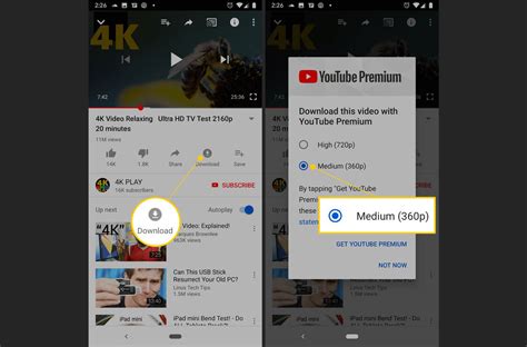 ssyoutube apk|How to Download YouTube Videos on Android .